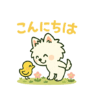 しろいぬ 毎日使える 日常スタンプ（個別スタンプ：20）
