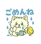 しろいぬ 毎日使える 日常スタンプ（個別スタンプ：24）