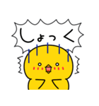 ひよこのちっぴ 8 [日常会話]（個別スタンプ：12）