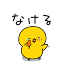 ひよこのちっぴ 8 [日常会話]（個別スタンプ：17）