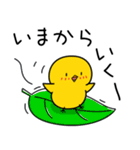 ひよこのちっぴ 8 [日常会話]（個別スタンプ：27）