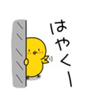 ひよこのちっぴ 8 [日常会話]（個別スタンプ：28）
