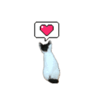 2025 ねこねこねここ（個別スタンプ：5）