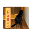 ちーちゃんとこてつくん（個別スタンプ：10）