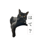 ちーちゃんとこてつくん（個別スタンプ：13）