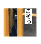 ちーちゃんとこてつくん（個別スタンプ：18）