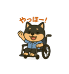 柴犬さん(車椅子バージョン)（個別スタンプ：1）