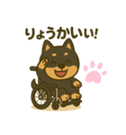 柴犬さん(車椅子バージョン)（個別スタンプ：2）