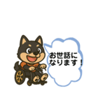 柴犬さん(車椅子バージョン)（個別スタンプ：3）