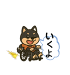 柴犬さん(車椅子バージョン)（個別スタンプ：4）