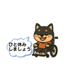 柴犬さん(車椅子バージョン)（個別スタンプ：6）