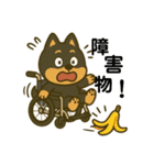 柴犬さん(車椅子バージョン)（個別スタンプ：7）