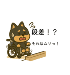 柴犬さん(車椅子バージョン)（個別スタンプ：8）