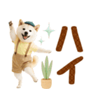 ラフな敬語の癒し豆しば（個別スタンプ：4）