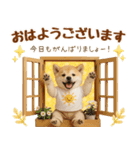 ラフな敬語の癒し豆しば（個別スタンプ：5）