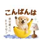 ラフな敬語の癒し豆しば（個別スタンプ：8）