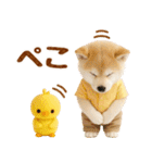 ラフな敬語の癒し豆しば（個別スタンプ：11）
