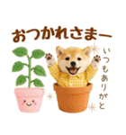 ラフな敬語の癒し豆しば（個別スタンプ：13）