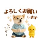 ラフな敬語の癒し豆しば（個別スタンプ：19）
