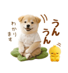 ラフな敬語の癒し豆しば（個別スタンプ：26）