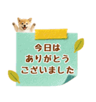 ラフな敬語の癒し豆しば（個別スタンプ：31）