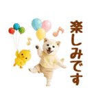 ラフな敬語の癒し豆しば（個別スタンプ：33）