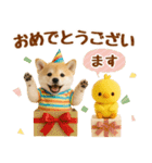 ラフな敬語の癒し豆しば（個別スタンプ：34）