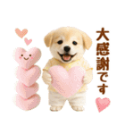 ラフな敬語の癒し豆しば（個別スタンプ：35）