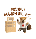 ラフな敬語の癒し豆しば（個別スタンプ：37）
