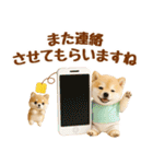 ラフな敬語の癒し豆しば（個別スタンプ：38）