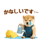 ラフな敬語の癒し豆しば（個別スタンプ：40）