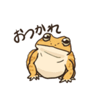 カエルたちの毎日スタンプ（個別スタンプ：3）