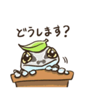 カエルたちの毎日スタンプ（個別スタンプ：20）
