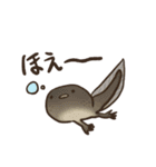 カエルたちの毎日スタンプ（個別スタンプ：22）
