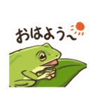 カエルたちの毎日スタンプ（個別スタンプ：29）