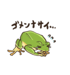 カエルたちの毎日スタンプ（個別スタンプ：30）