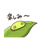 カエルたちの毎日スタンプ（個別スタンプ：34）