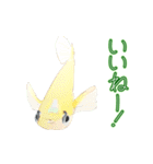動くメダカ4（個別スタンプ：2）