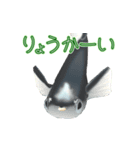 動くメダカ4（個別スタンプ：21）