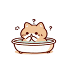 お風呂猫 冷静,（個別スタンプ：3）
