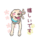 ラブラドール ちろん君の日常スタンプ（個別スタンプ：8）