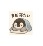 毎日使える♪リアルかわいいペンギン3（個別スタンプ：1）