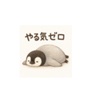 毎日使える♪リアルかわいいペンギン3（個別スタンプ：7）