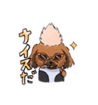 NPO法人わん'sLinkの団長来夢（らいむ）（個別スタンプ：8）