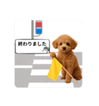 登校班グループで使えるスタンプ（個別スタンプ：1）