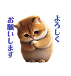 にゃんこの日常スタンプ③（個別スタンプ：4）