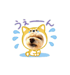 うごく ちわぷー 5（個別スタンプ：11）