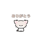 動く！ミニチワワ（個別スタンプ：1）