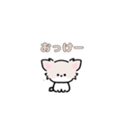 動く！ミニチワワ（個別スタンプ：4）