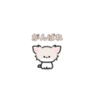 動く！ミニチワワ（個別スタンプ：5）